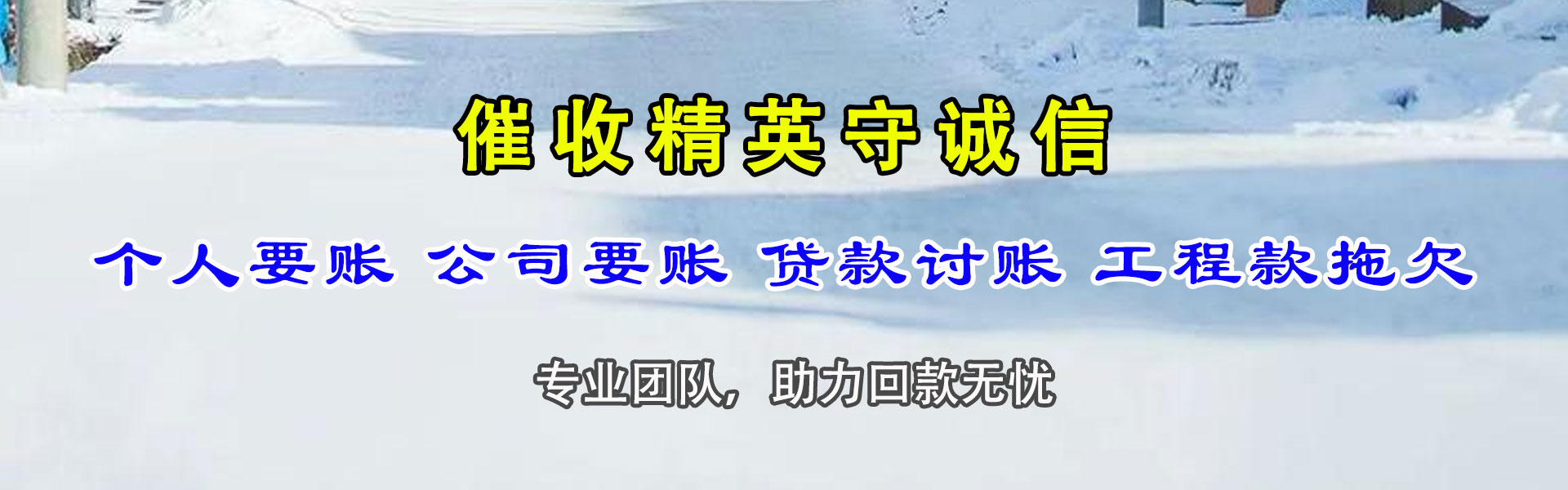 镇平追帐公司